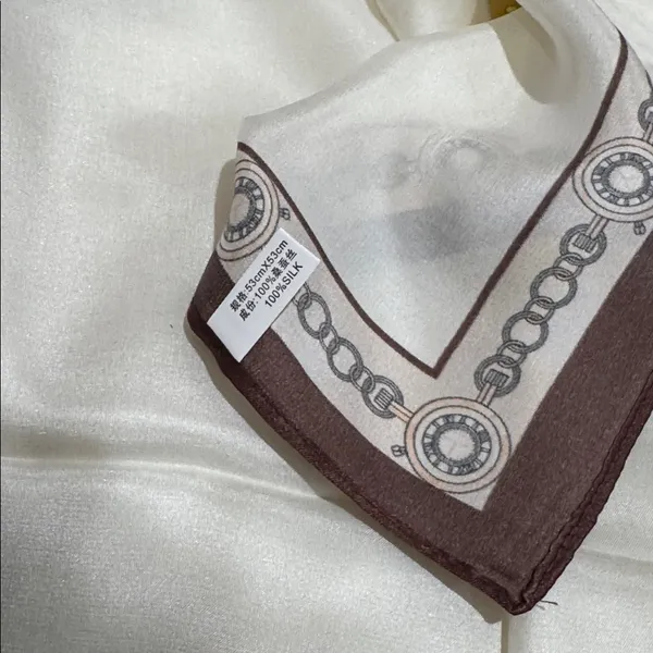 Elegant Cream and Brown Scarf - Image 4