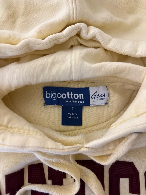 Big Cotton Minnesota Hoodie - Image 2