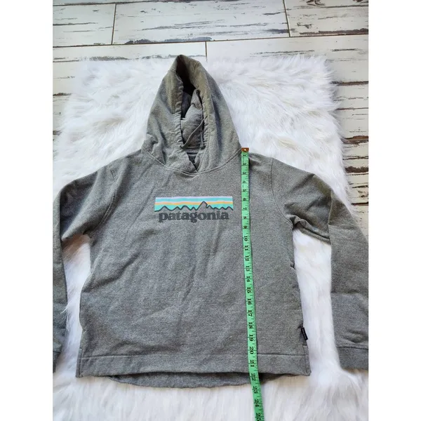 Patagonia -859 Pastel Logo Uprisal‎ Hoddie - grey - Medium - Image 7