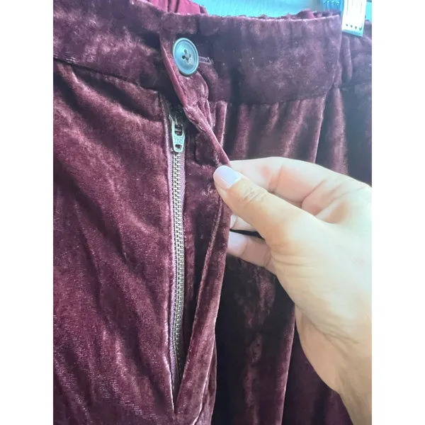 Madewell Velvet Tapered Pleat Pull-On High Rise Pants Burgundy Large - Image 3