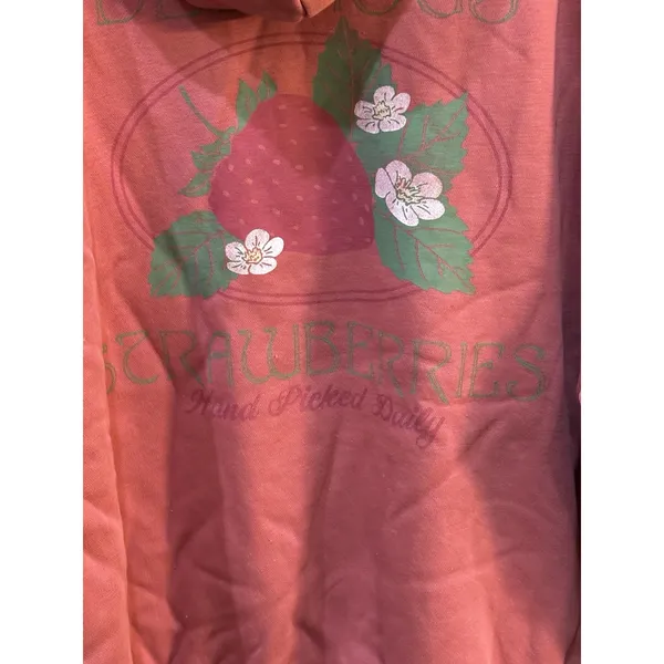 PacSun Delicious Strawberries Hoodie Size‎ Large - Image 6