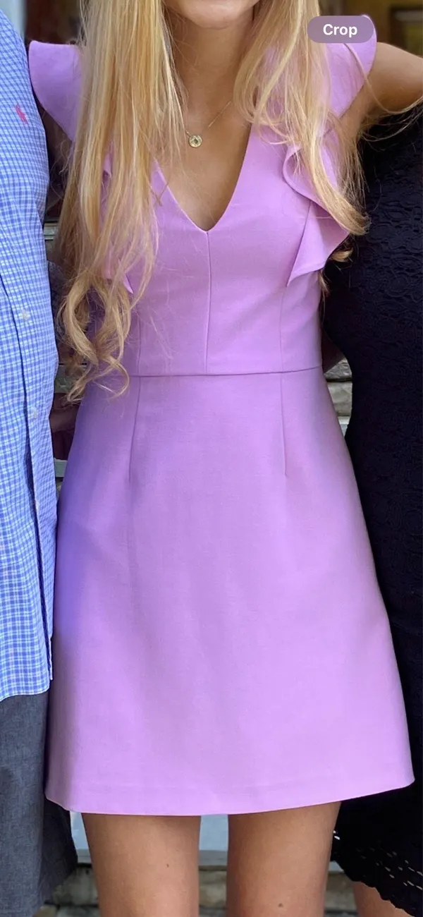 French Connection Lavender whisper v neck ruffle sleeve dress - Image 3