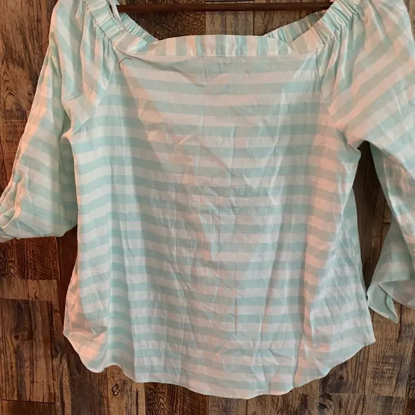 NWT Naked Zebra Off-Shoulder stripped Blouse | Gingham Lite blue Top size M - Image 2