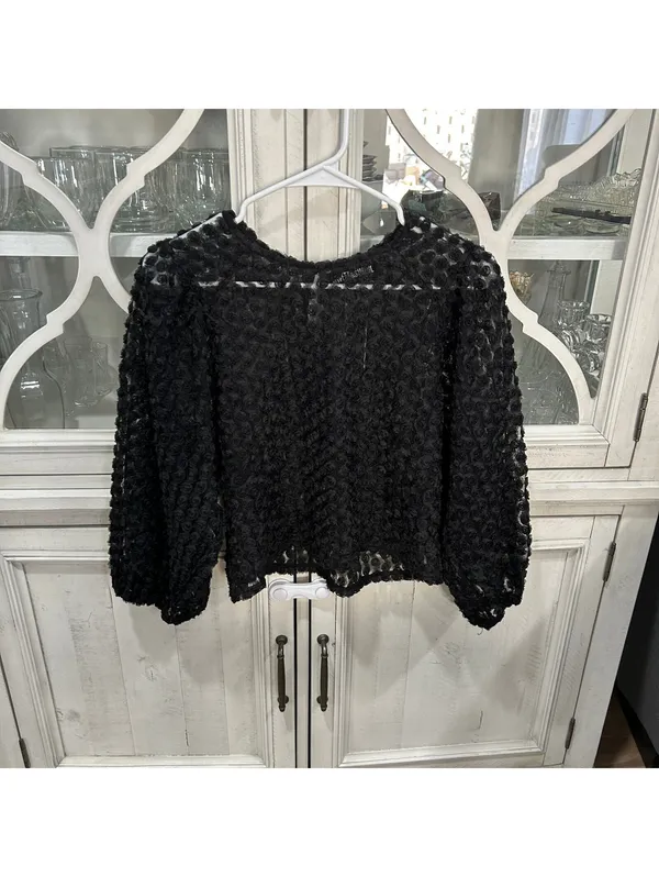 Sweet & Sinful Y2K Black Rosette Mesh Top XS Sheer 3D Floral Whimsigoth Witchy - Image 2