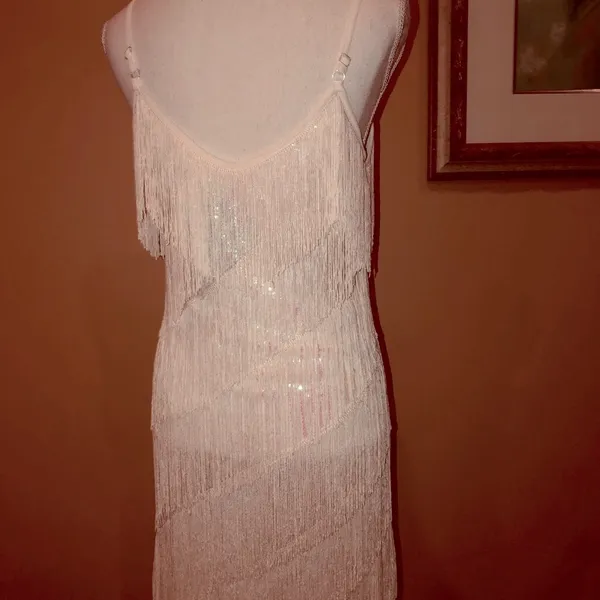 🆕 1920s Sequin and Fringe Flapper Party Mini Dress - Image 9