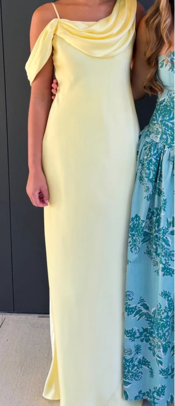 Birdy Grey Dress - Image 4