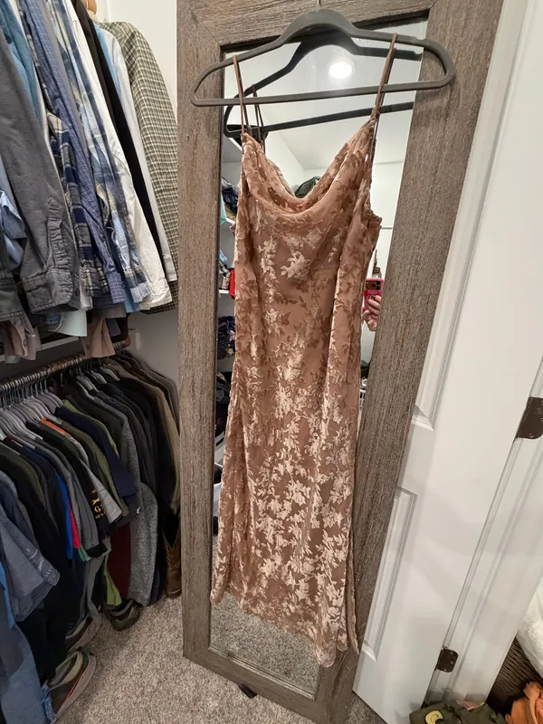 Vici Velvet Burnout Dress - Image 5
