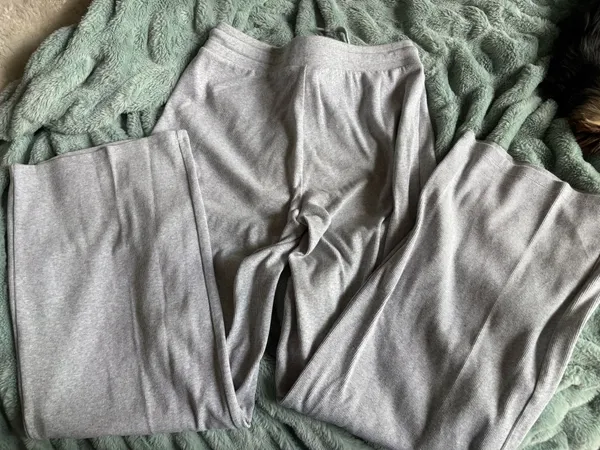 Aritzia sweatpants joggers homestretch grey - Image 2