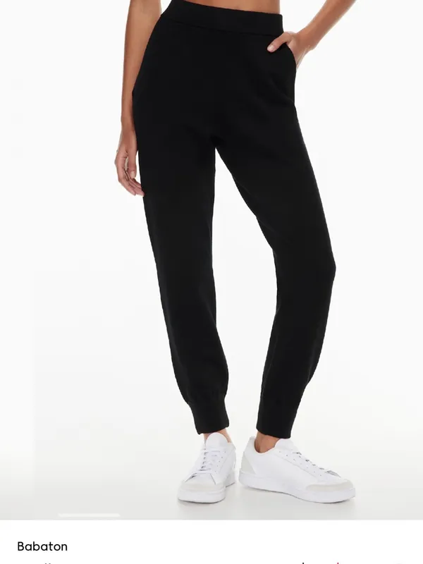 Aritzia Babaton Rodin joggers M - Image 3