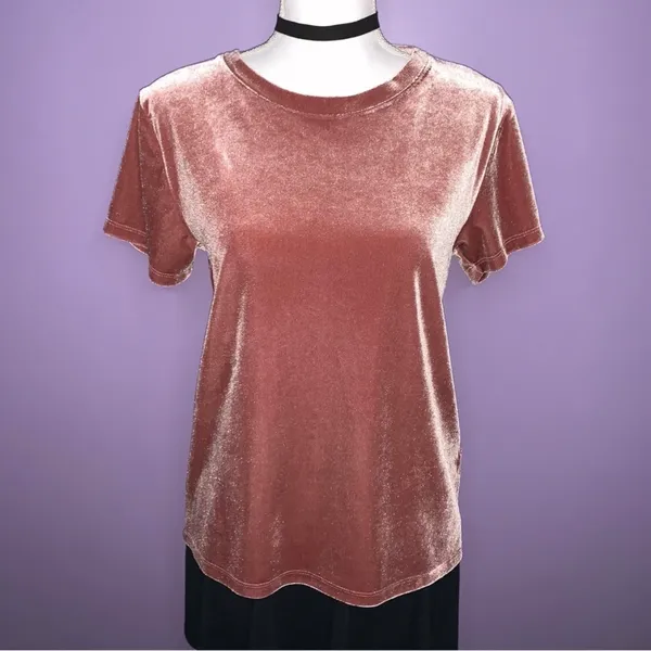 Abercrombie & Fitch Mauve Velour Top - Image 2