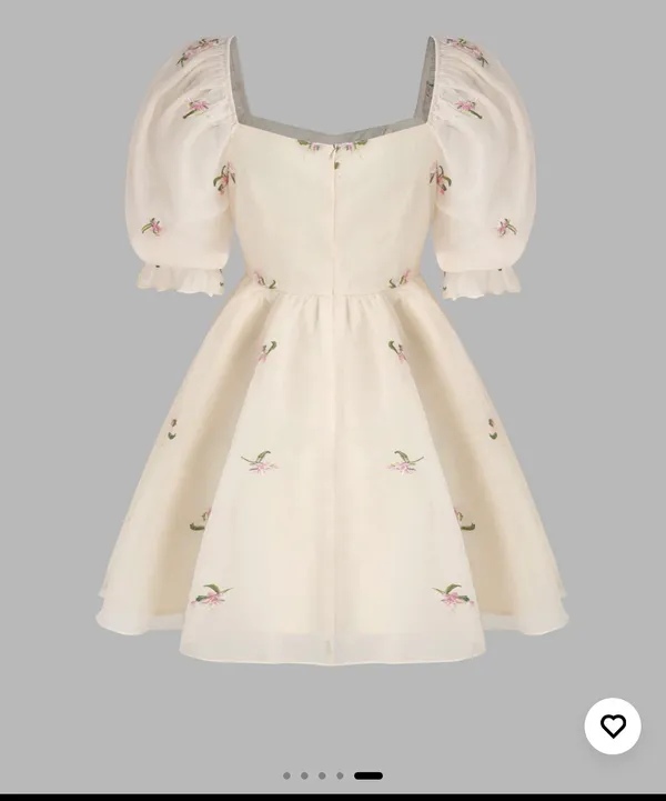 Cider Sadie Embroidered Floral Mesh Puff Sleeve Mini Dress - Image 2