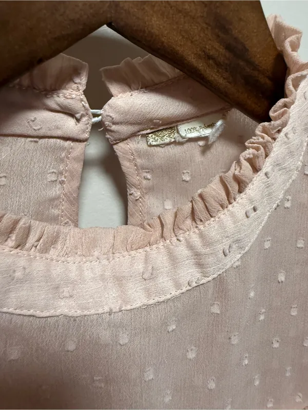 Japna Sheer Swiss Dot Ruffle Yoke Blouse - Light Pink - Image 2