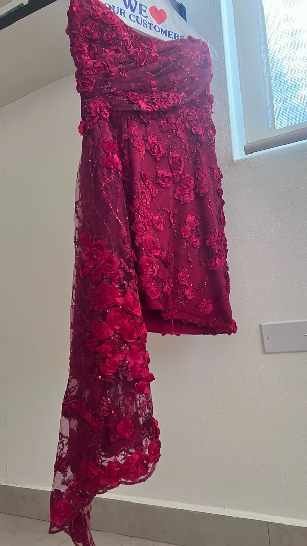 Red Gala Style Mini Dress | Nativa Boutique - Image 3