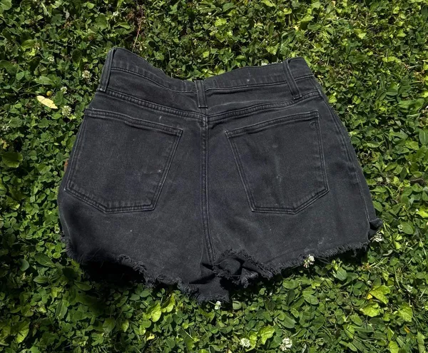 Madewell Shorts - Image 3
