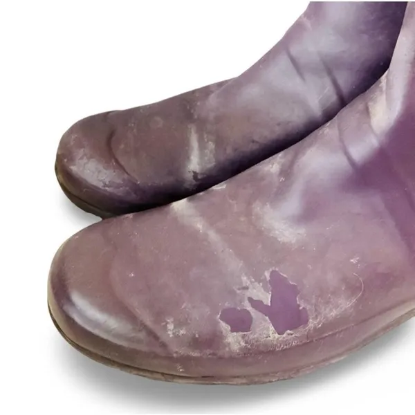 Hunter, Short Boots, purple - Image 4