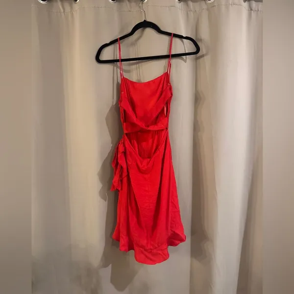 Angel Biba Vibrant Red Dress - Image 2