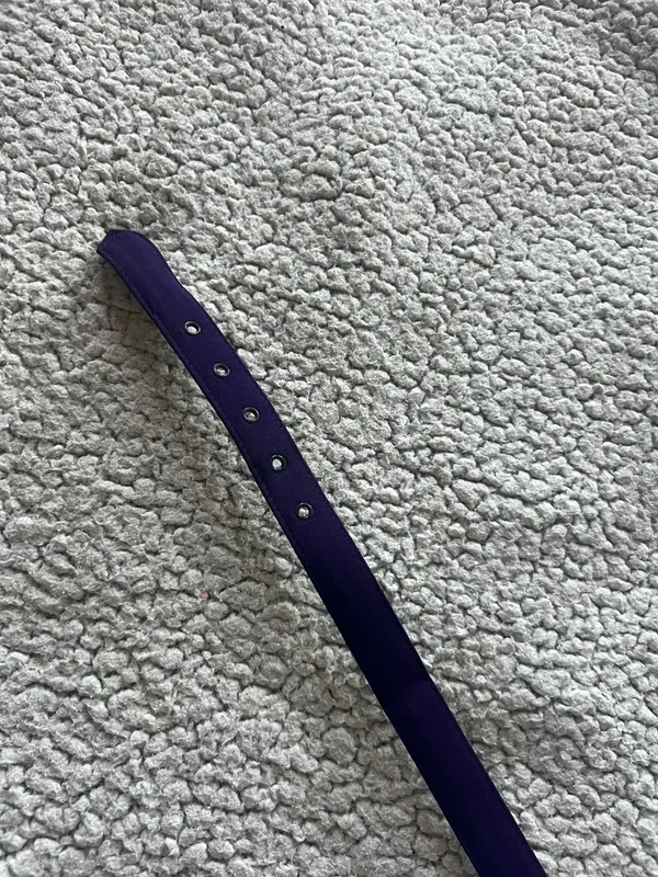 Belt Blue - Image 3