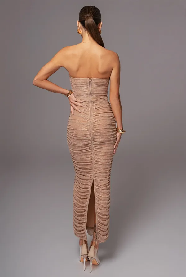 NWT Champagne Metallic Mesh Maxi Dress Tan - Image 7