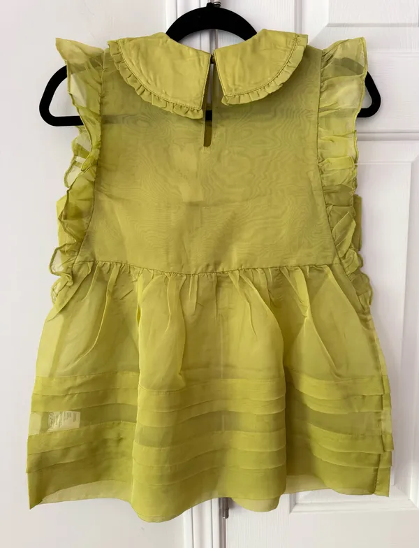 Anthropologie Maeve Peter Pan Collar Sheer Pintuck Babydoll Top, Size XS - Image 11