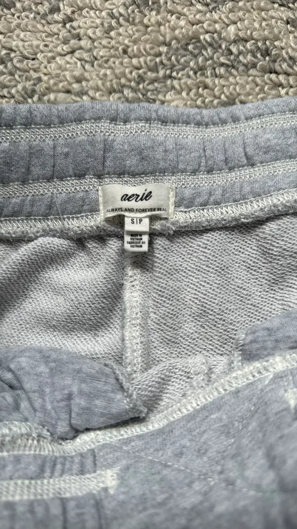 Grey Aerie Sweatpants - Image 2