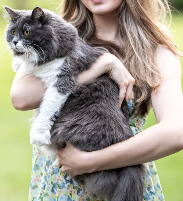 Abercrombie and Fitch dress - Image 5
