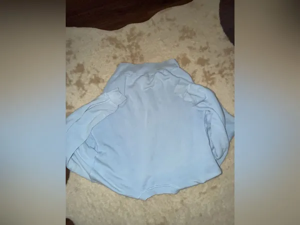 Elwood crew sweatshirt light blue casual fall activewear $100 limited edition - Image 6