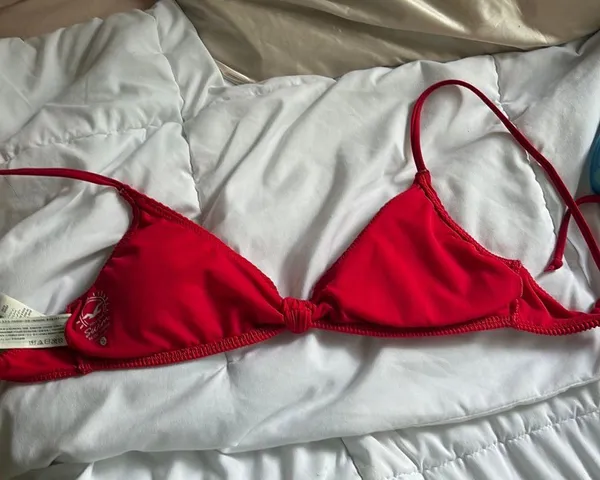 Hollister Swim Top - Image 2