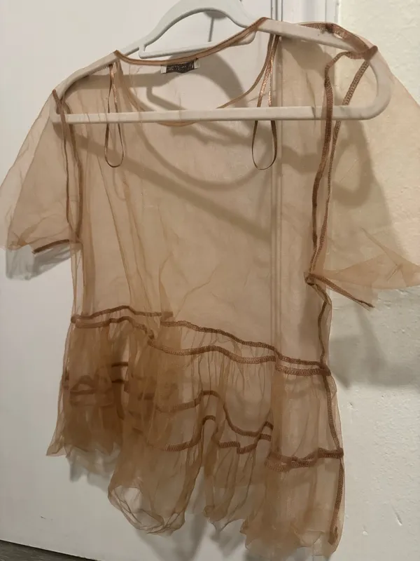 ZARA Sheer Top - Image 2