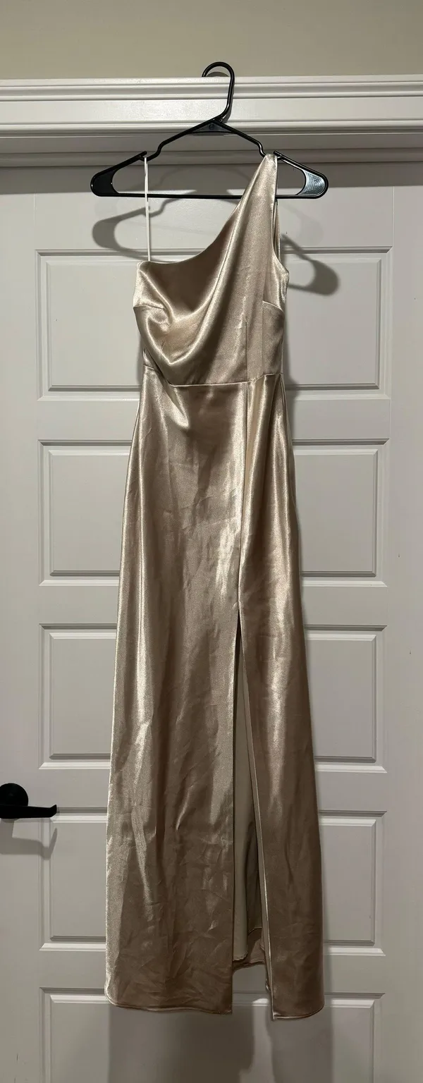 Birdy Grey Kira Dress In Neutral Champagne - Image 2