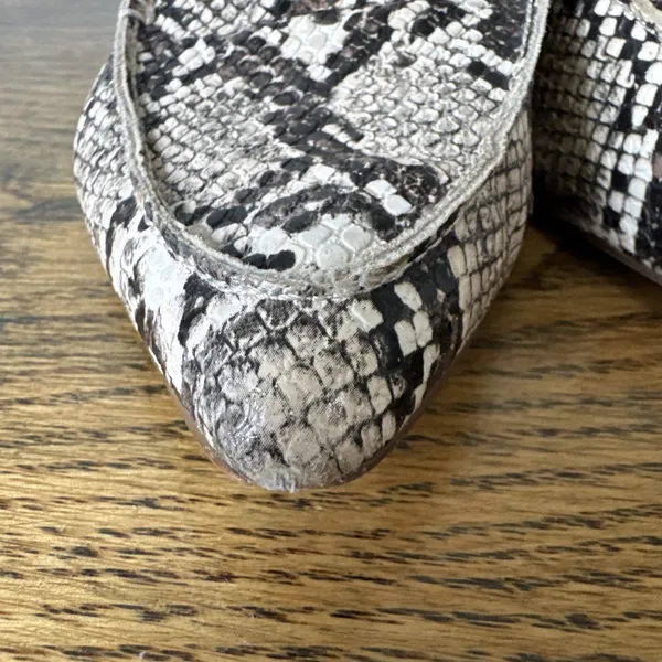 Express Mule Flats Snake Print Slip On Pointed Shoes Animal Print Womens 7.5 - Image 6