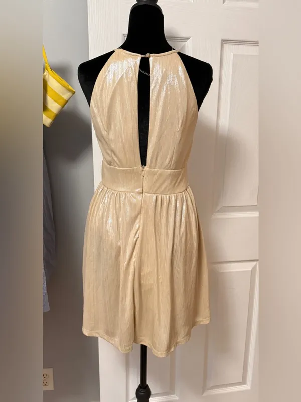 Altar’d State Shimmery Champagne Sleeveless Fit & Flare‎ Dress - Image 2