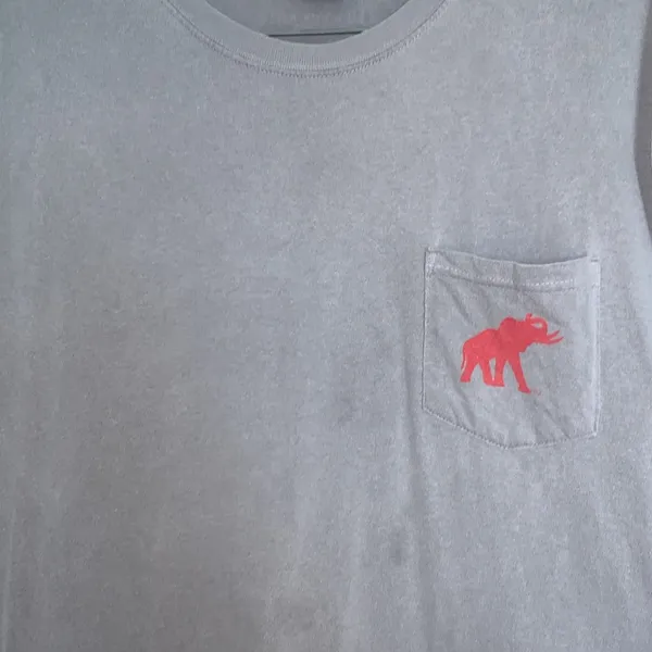 Comfort Colors large Alabama t-shirt - Image 4