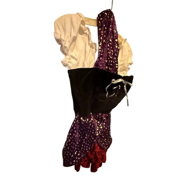 Underwraps Costumes Miss Fortune Halloween Costume Dress - Image 5