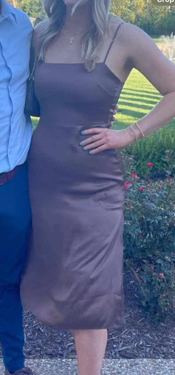 Aritzia Wilfred Dress - Image 3