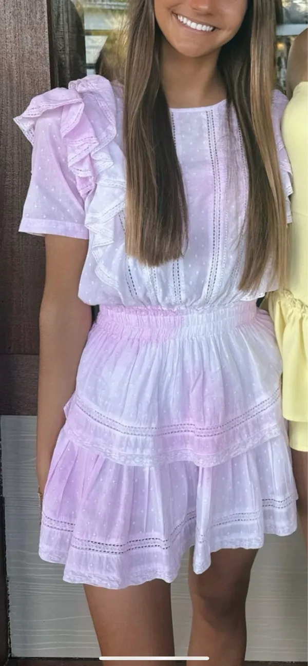 Love Shack Fancy Mini Dress - Image 3
