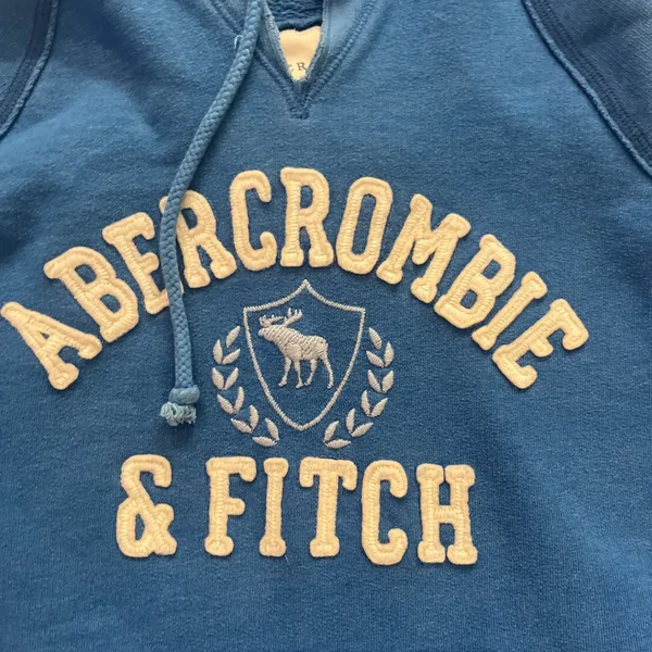 Y2K Large Abercrombie & Fitch Blue OG Hoodie - Image 4