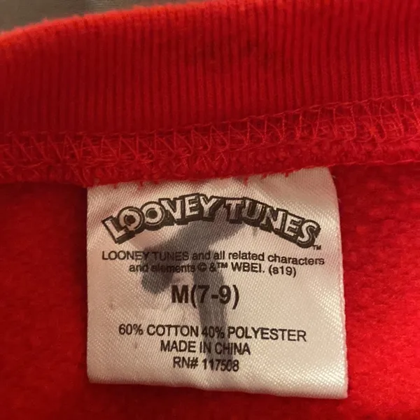 Looney Tunes Classic Character Sweatshirt - Image 4