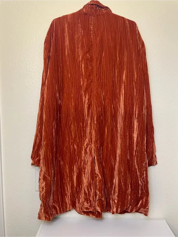 Free‎ People Daria Crinkle Velvet Blazer Size M - Image 6