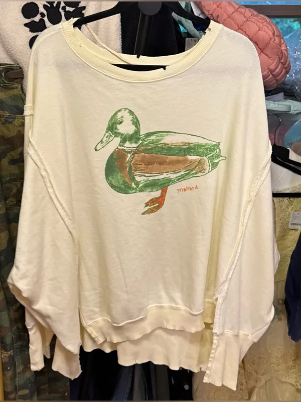 NWT Free People We The Free Graphic Camden Pullover - duck combo mallard - Large - Image 12