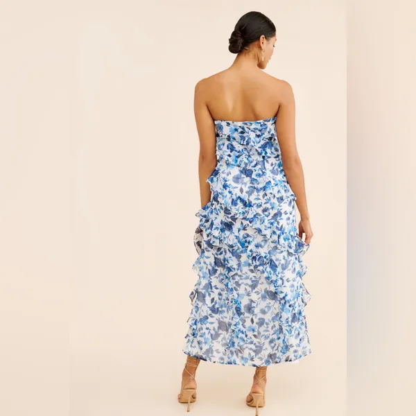 BHLDN Jia Bias-Cut Ruffled Printed V-Neck Gown size‎ 4 - Image 2