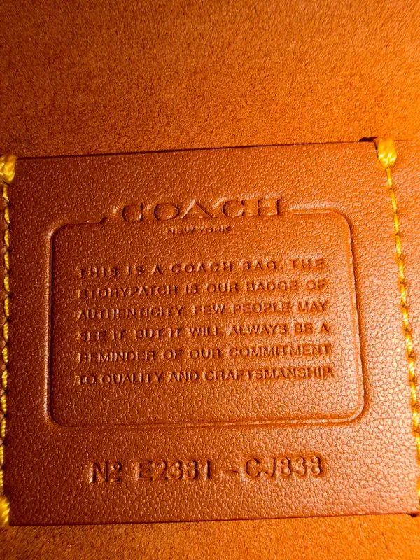 Coach Braided Tabby 26 - Image 10