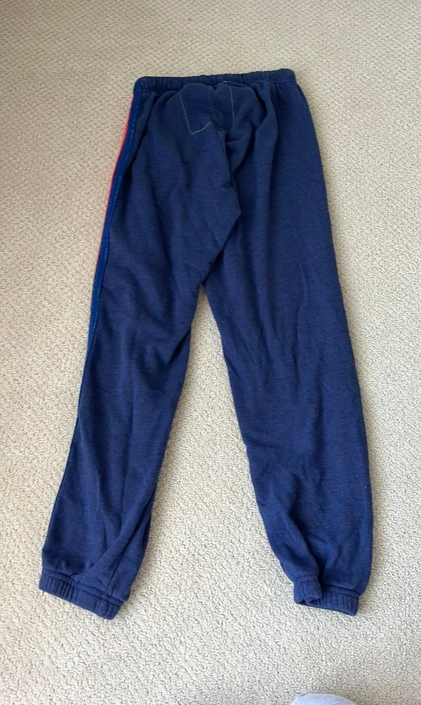 Aviator Nation Sweatpants - Image 2