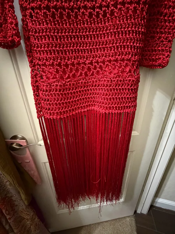 Zara Crochet & Fringe Maxi Dress — Size Medium | Blogger Favorite ❤️ - Image 5