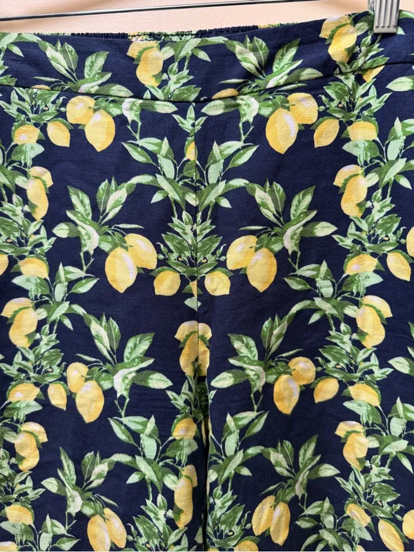 LOFT by ANN TAYLOR‎ Lemon Tree Verbena LINEN & VISCOSE Pants Sz S Wide Leg Comfy - Image 3