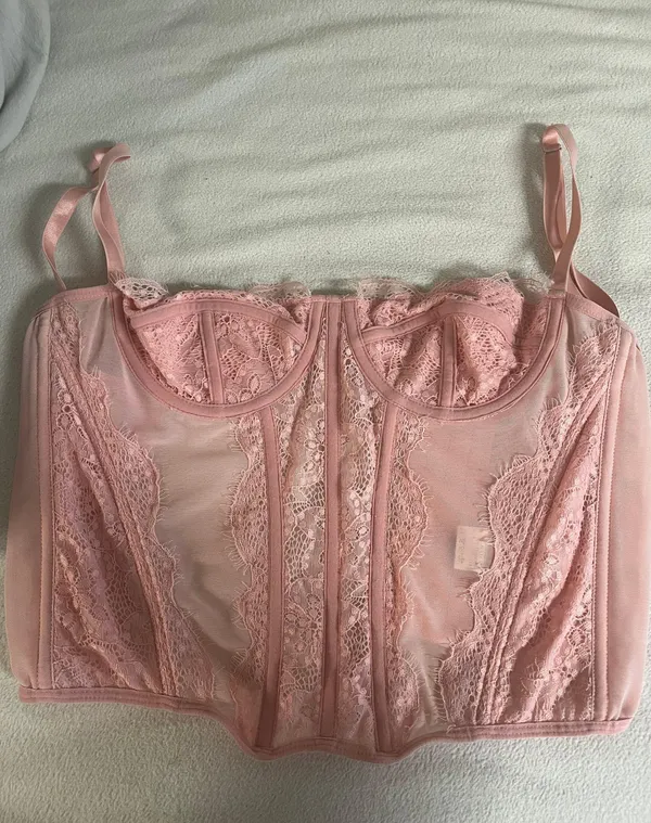 Amazon Sheer/Pink Lace Corset Top - Image 2