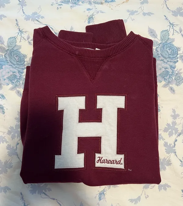 Vintage Harvard University Sweatshirt - Image 2