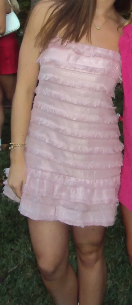 Pink  Molina Mini Dress - Image 2