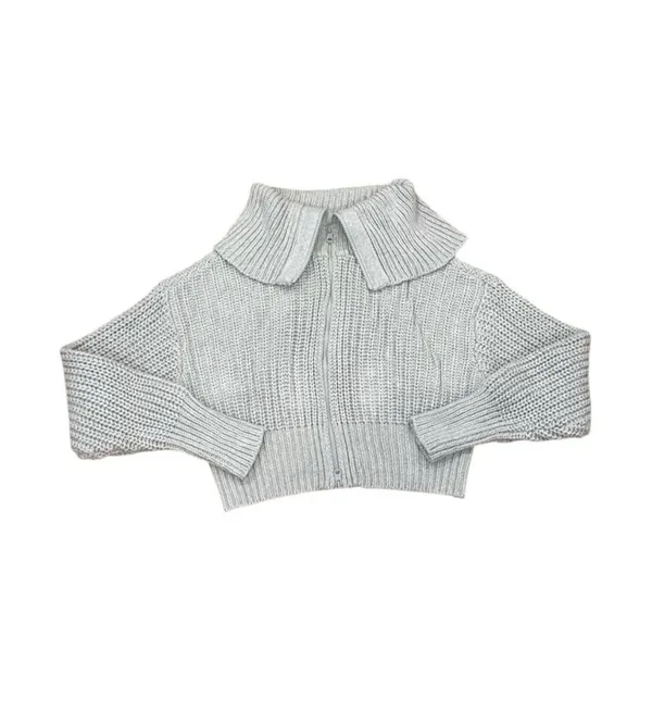 Aerie grey cropped full zip sweater - Image 2
