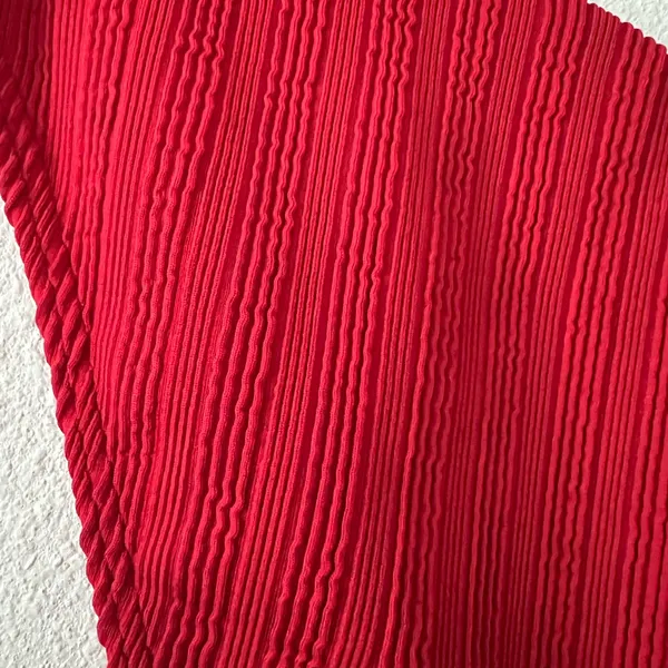 {Abercrombie & Fitch} Brand New Ribbed Red Bikini Bottoms - Image 4