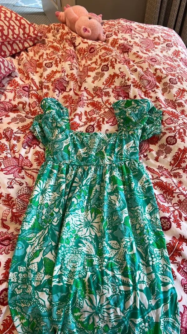 Lily Pulitzer Lilly Dress - Image 3